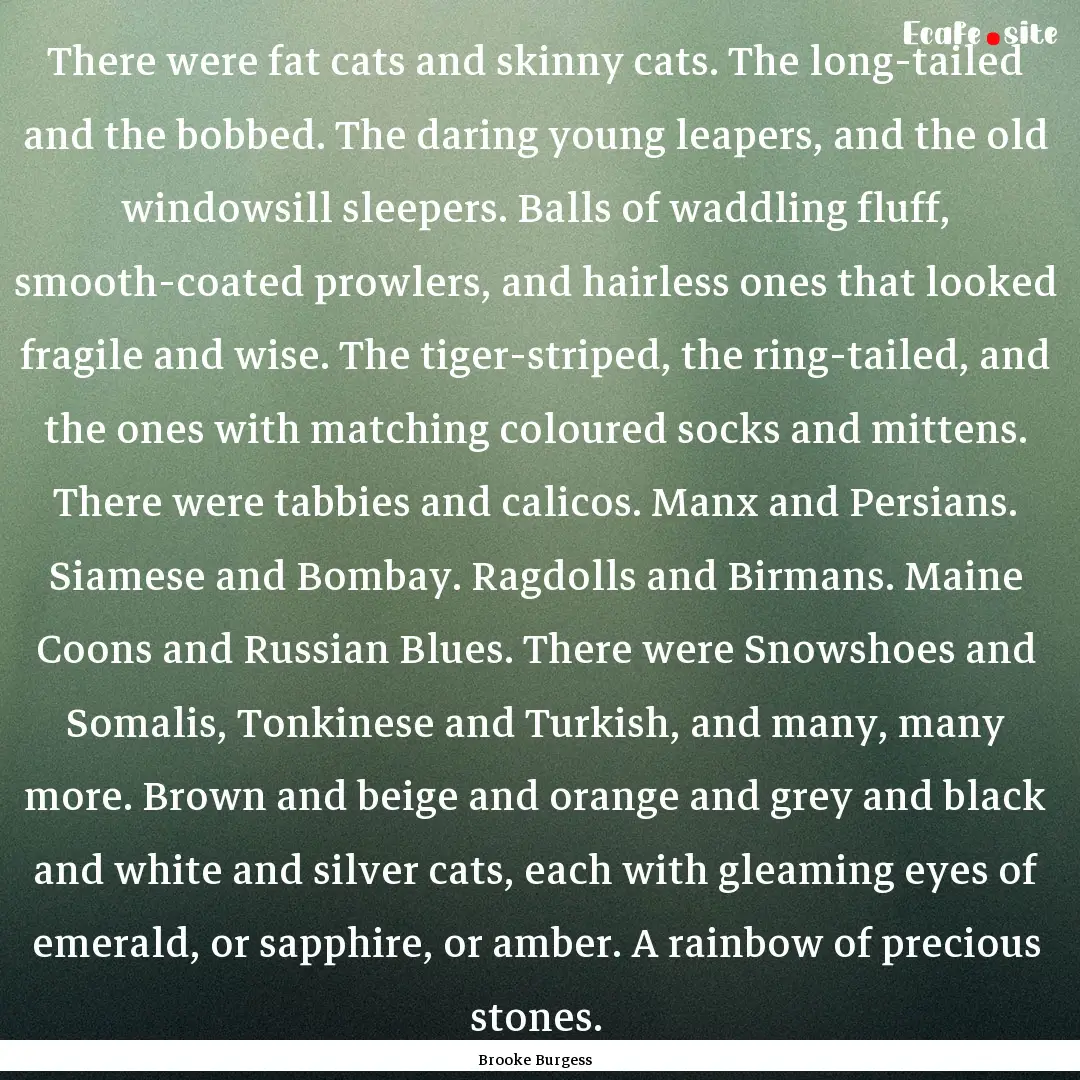 There were fat cats and skinny cats. The.... : Quote by Brooke Burgess