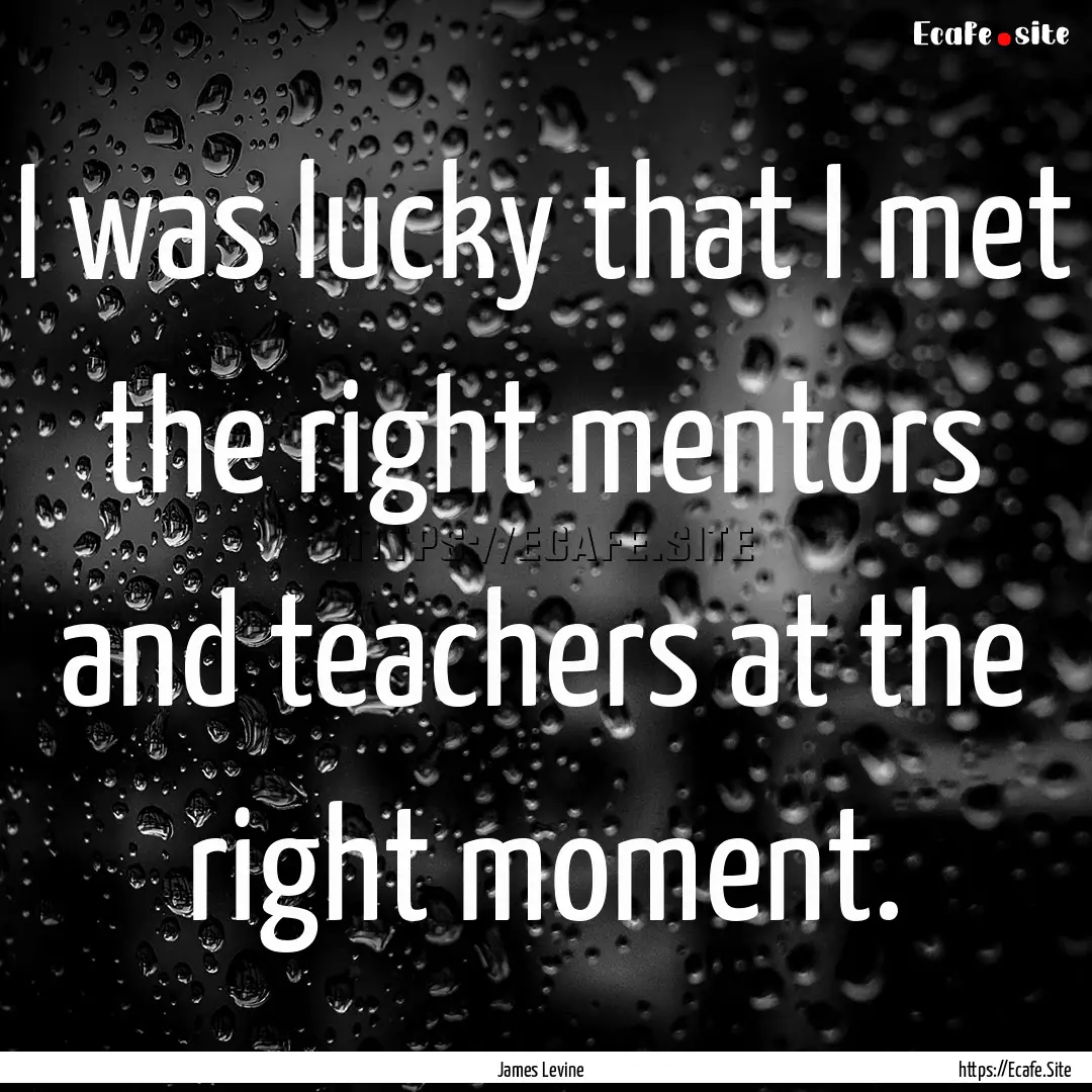 I was lucky that I met the right mentors.... : Quote by James Levine