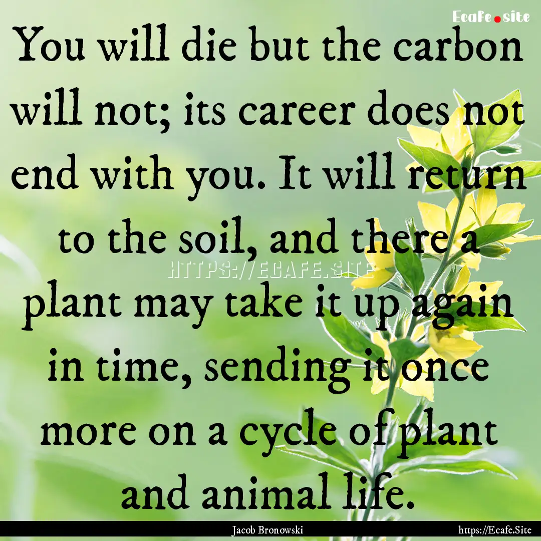 You will die but the carbon will not; its.... : Quote by Jacob Bronowski