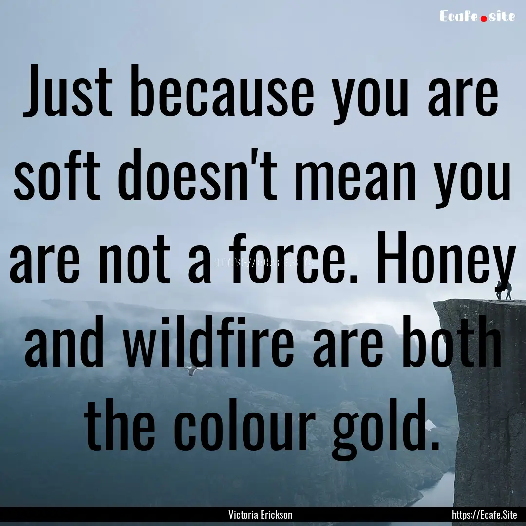 Just because you are soft doesn't mean you.... : Quote by Victoria Erickson