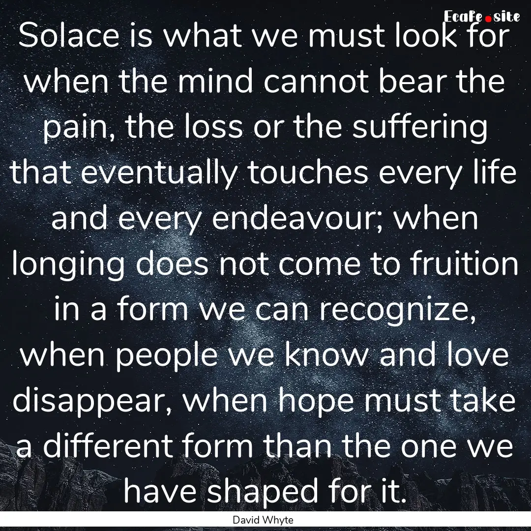 Solace is what we must look for when the.... : Quote by David Whyte