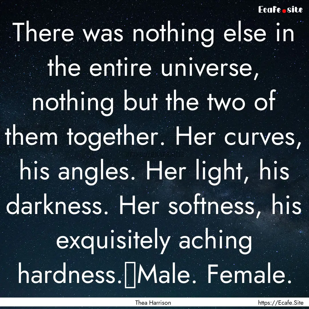 There was nothing else in the entire universe,.... : Quote by Thea Harrison