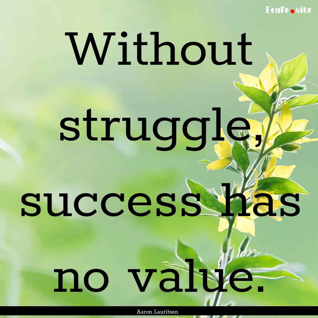 Without struggle, success has no value. : Quote by Aaron Lauritsen