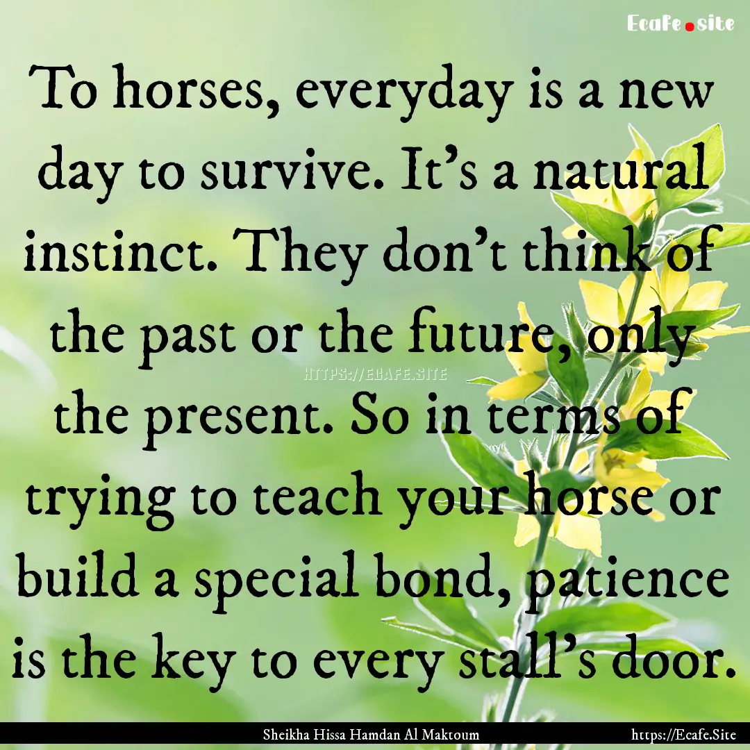 To horses, everyday is a new day to survive..... : Quote by Sheikha Hissa Hamdan Al Maktoum