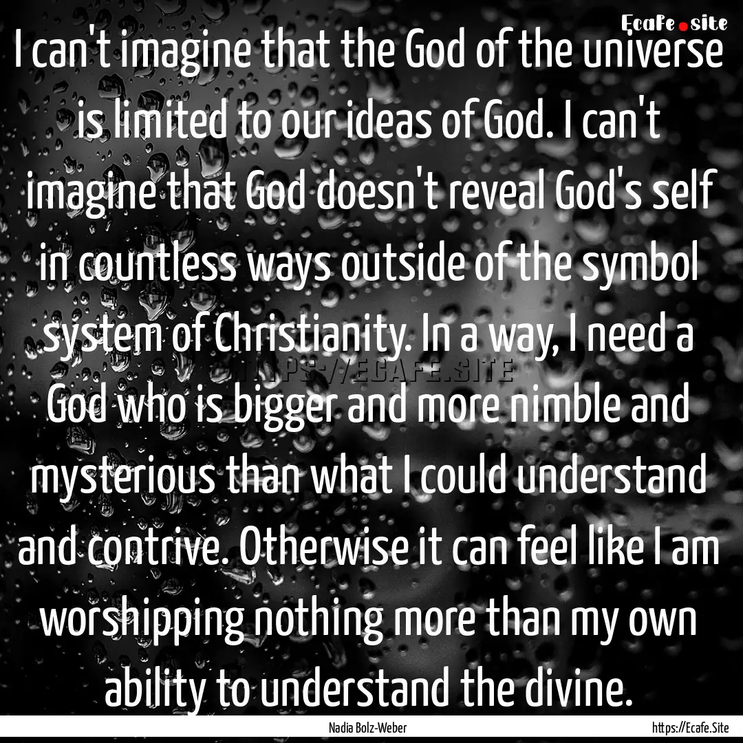 I can't imagine that the God of the universe.... : Quote by Nadia Bolz-Weber