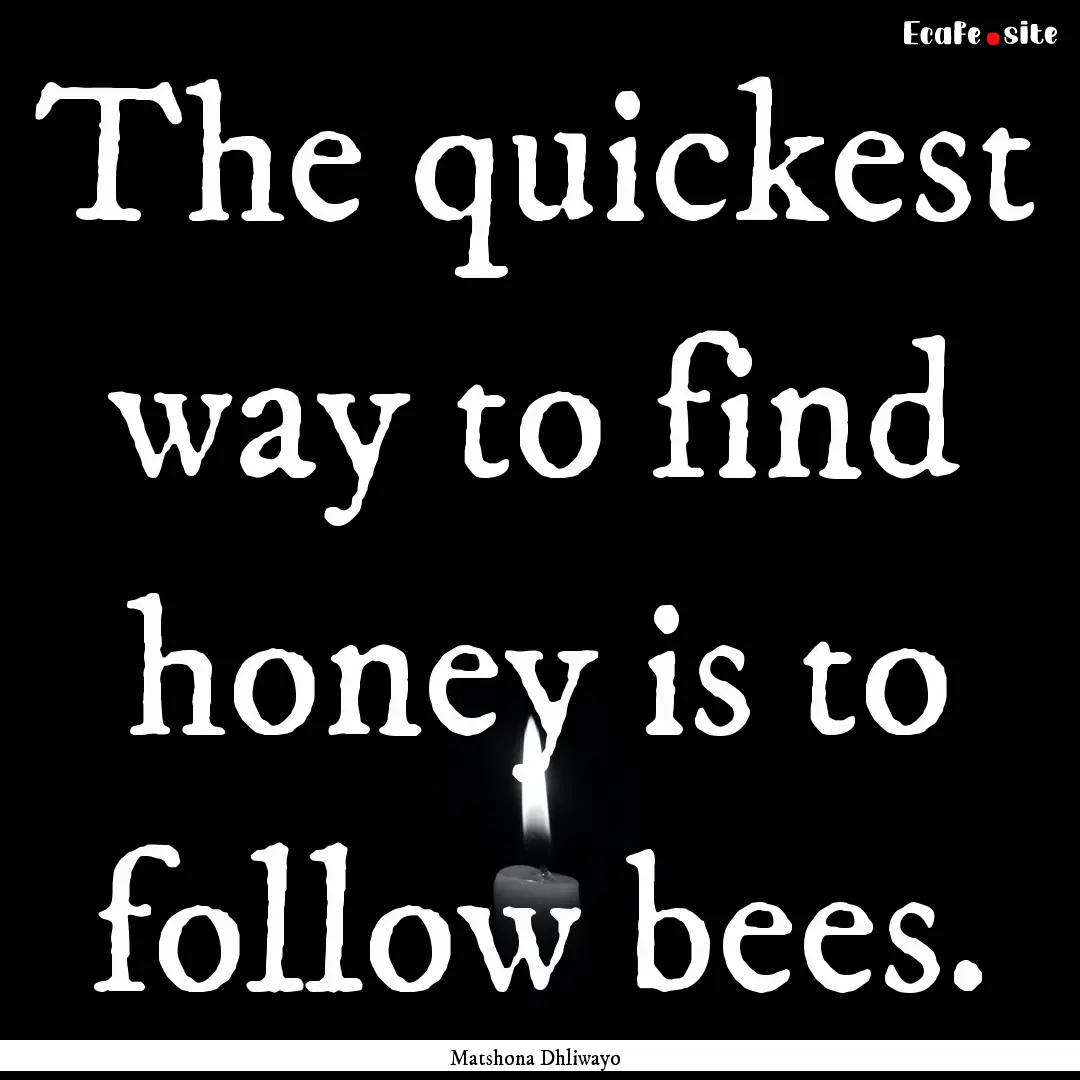 The quickest way to find honey is to follow.... : Quote by Matshona Dhliwayo