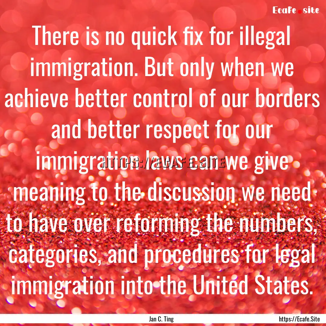 There is no quick fix for illegal immigration..... : Quote by Jan C. Ting