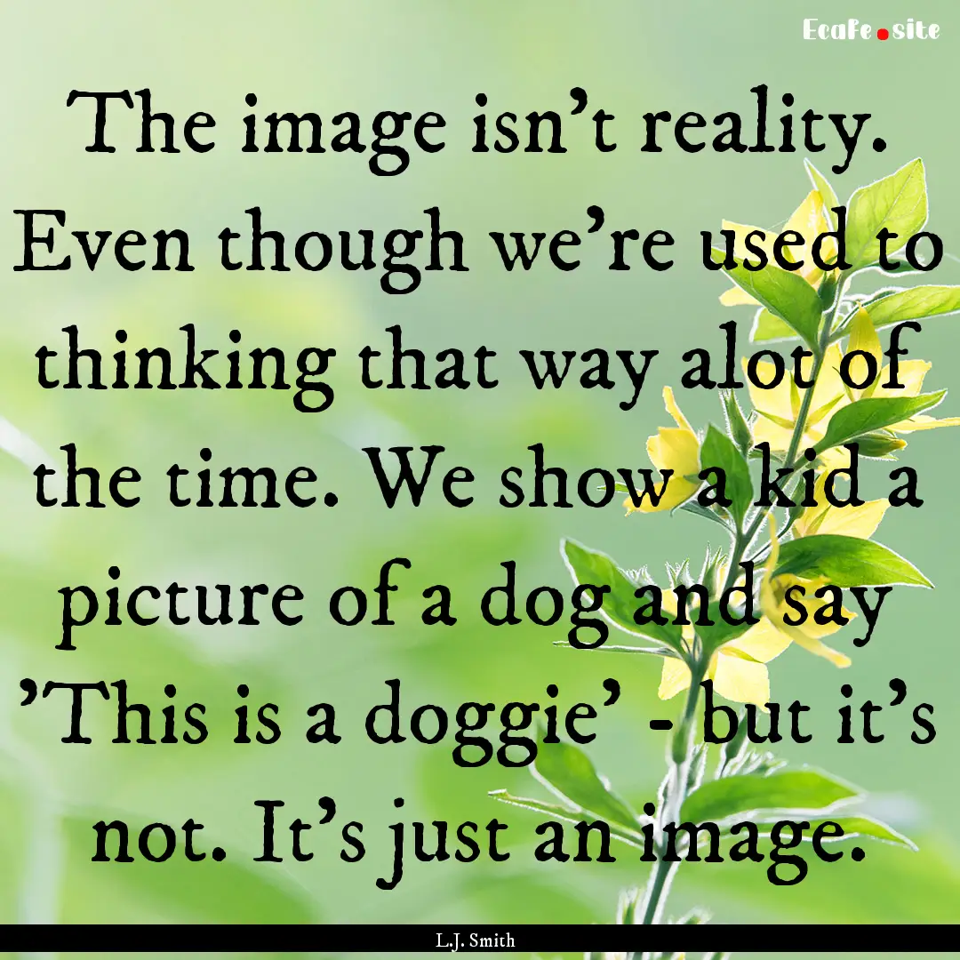 The image isn't reality. Even though we're.... : Quote by L.J. Smith