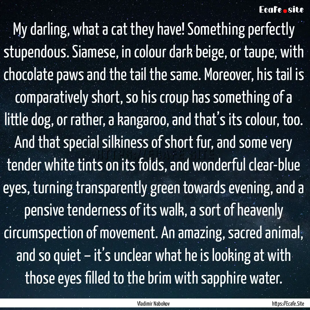 My darling, what a cat they have! Something.... : Quote by Vladimir Nabokov