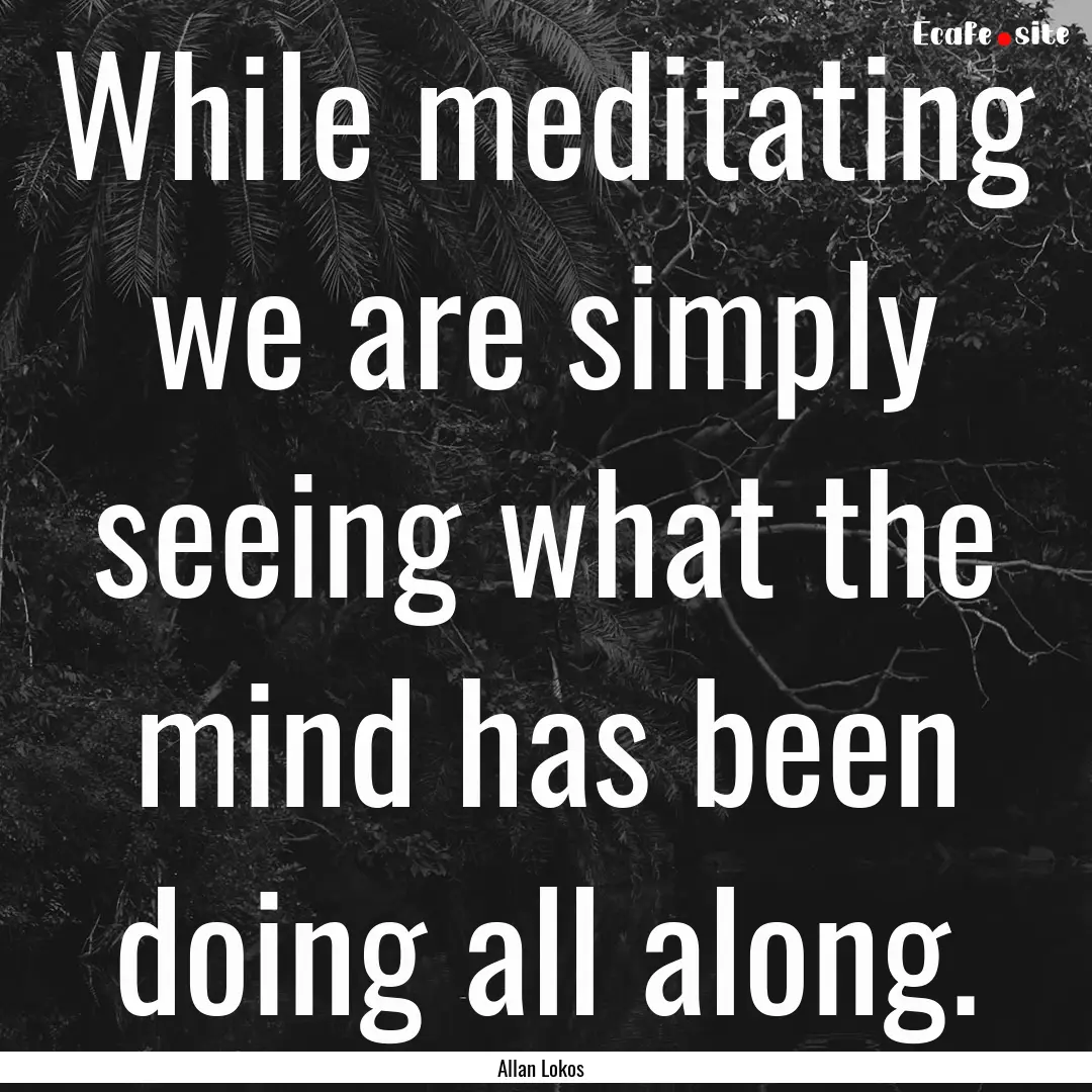 While meditating we are simply seeing what.... : Quote by Allan Lokos