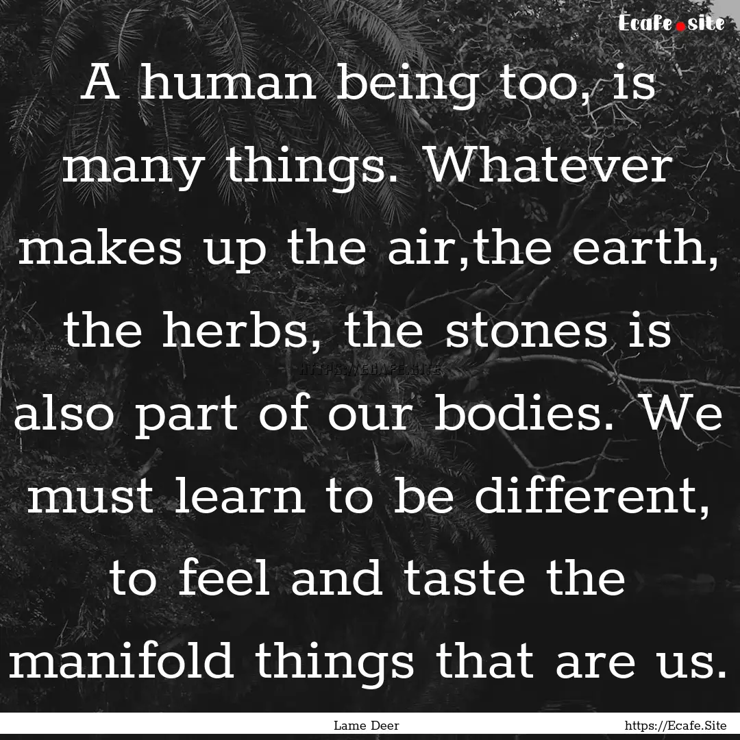 A human being too, is many things. Whatever.... : Quote by Lame Deer