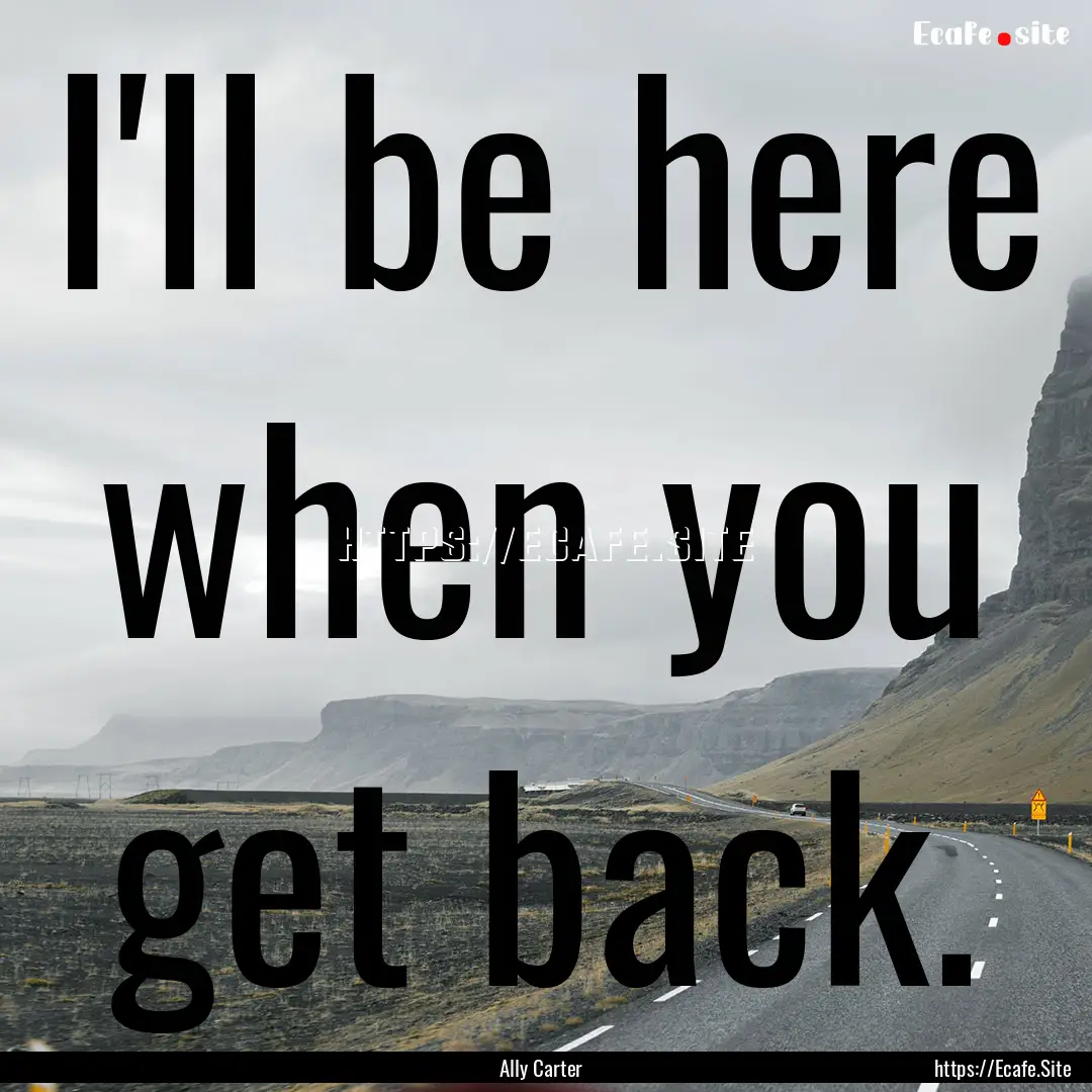 I'll be here when you get back. : Quote by Ally Carter