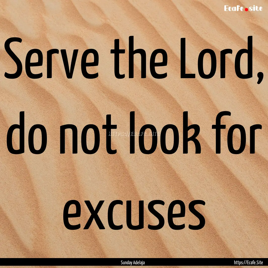 Serve the Lord, do not look for excuses : Quote by Sunday Adelaja