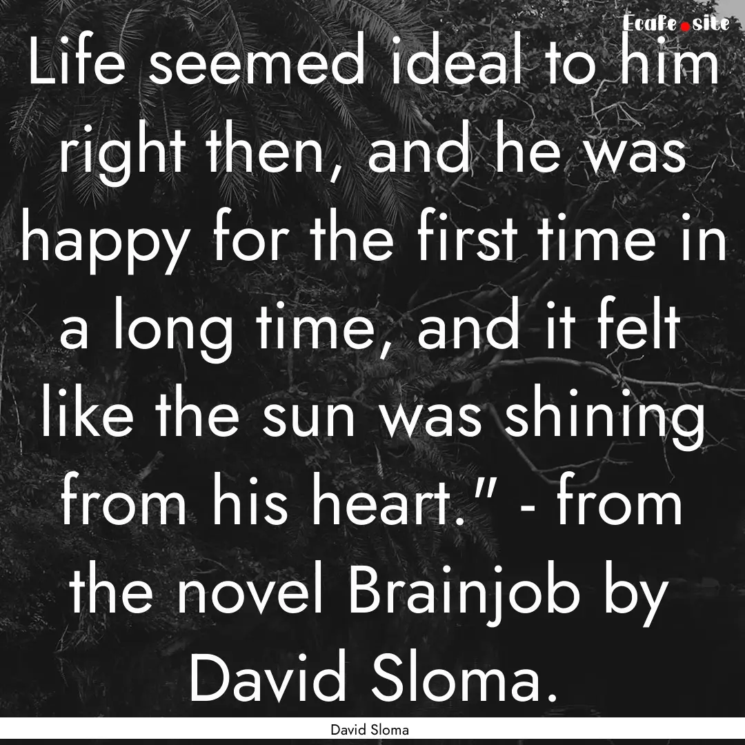 Life seemed ideal to him right then, and.... : Quote by David Sloma