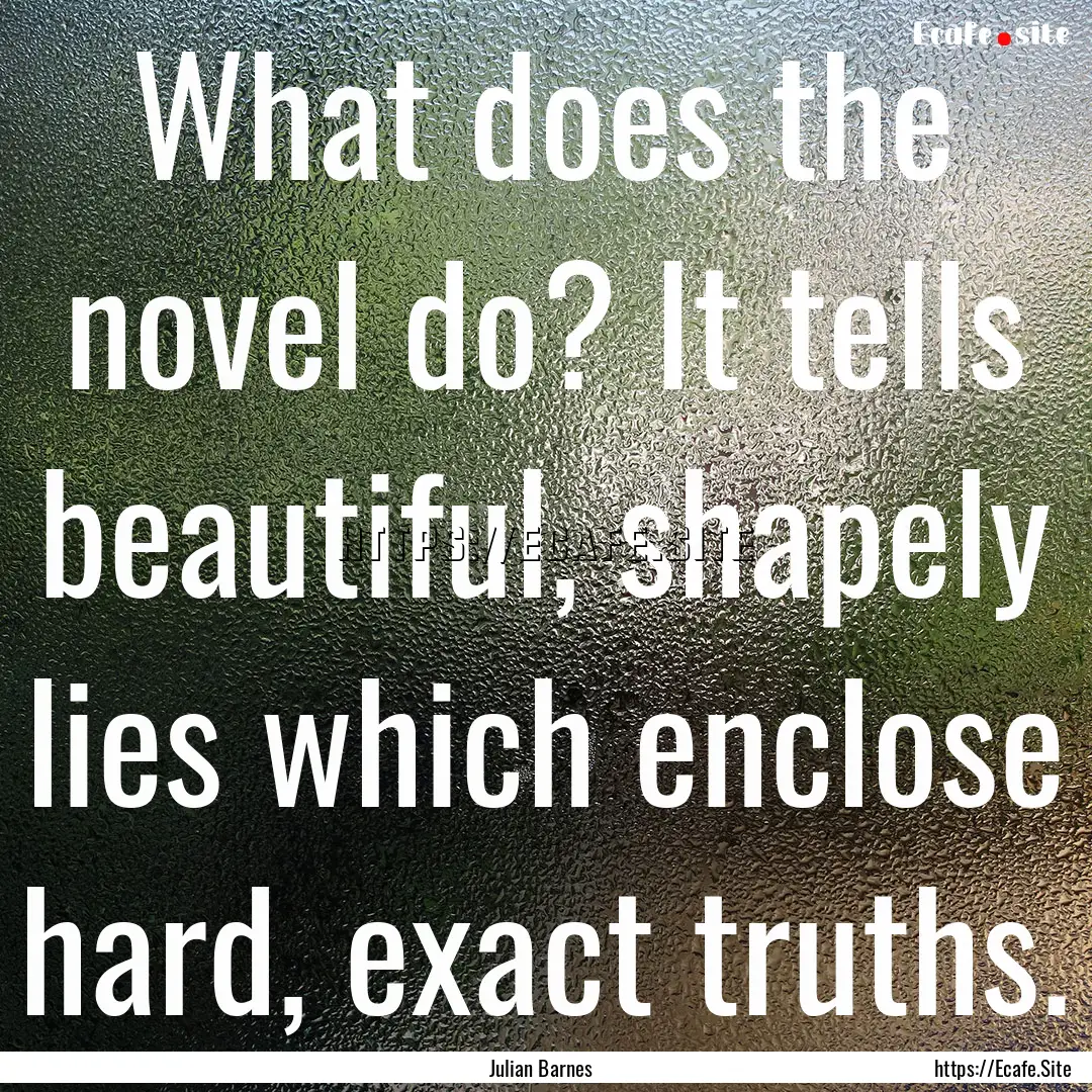 What does the novel do? It tells beautiful,.... : Quote by Julian Barnes