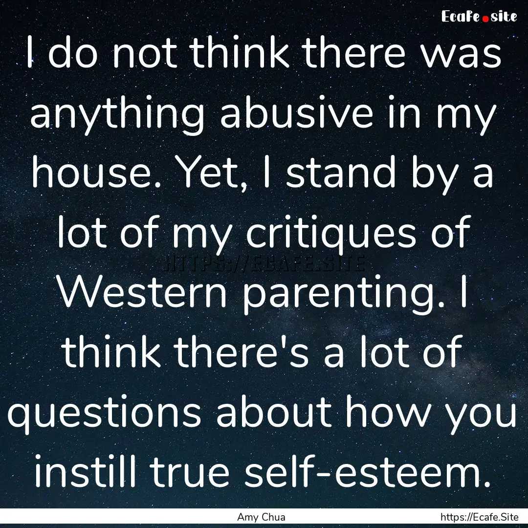 I do not think there was anything abusive.... : Quote by Amy Chua