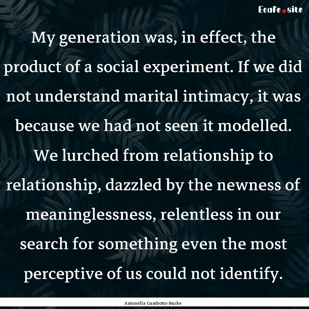 My generation was, in effect, the product.... : Quote by Antonella Gambotto-Burke