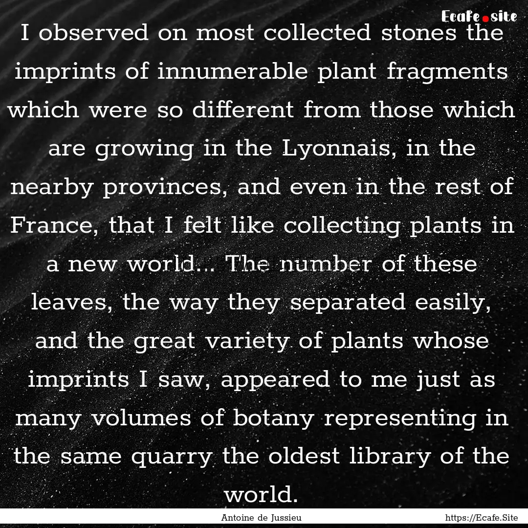 I observed on most collected stones the imprints.... : Quote by Antoine de Jussieu