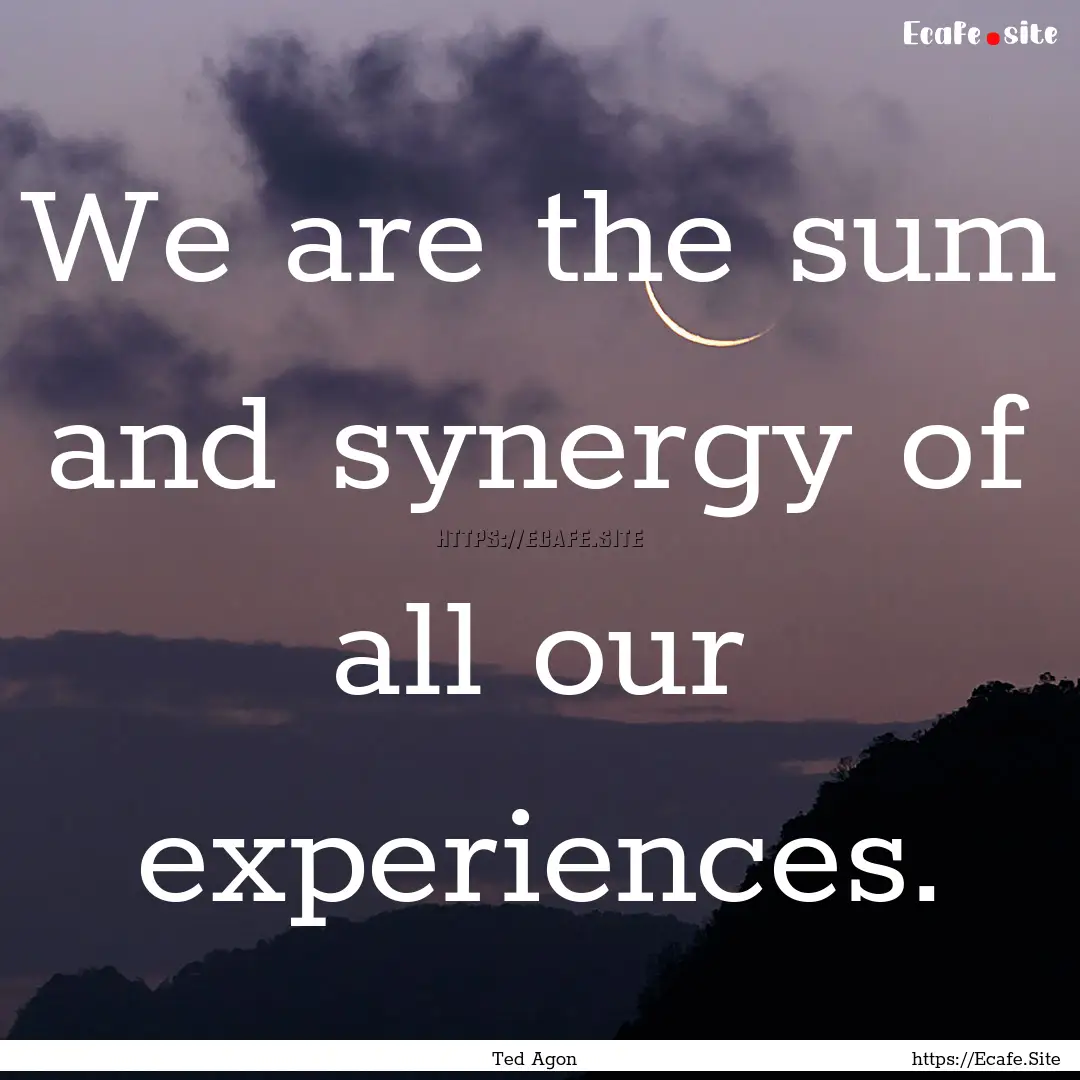 We are the sum and synergy of all our experiences..... : Quote by Ted Agon