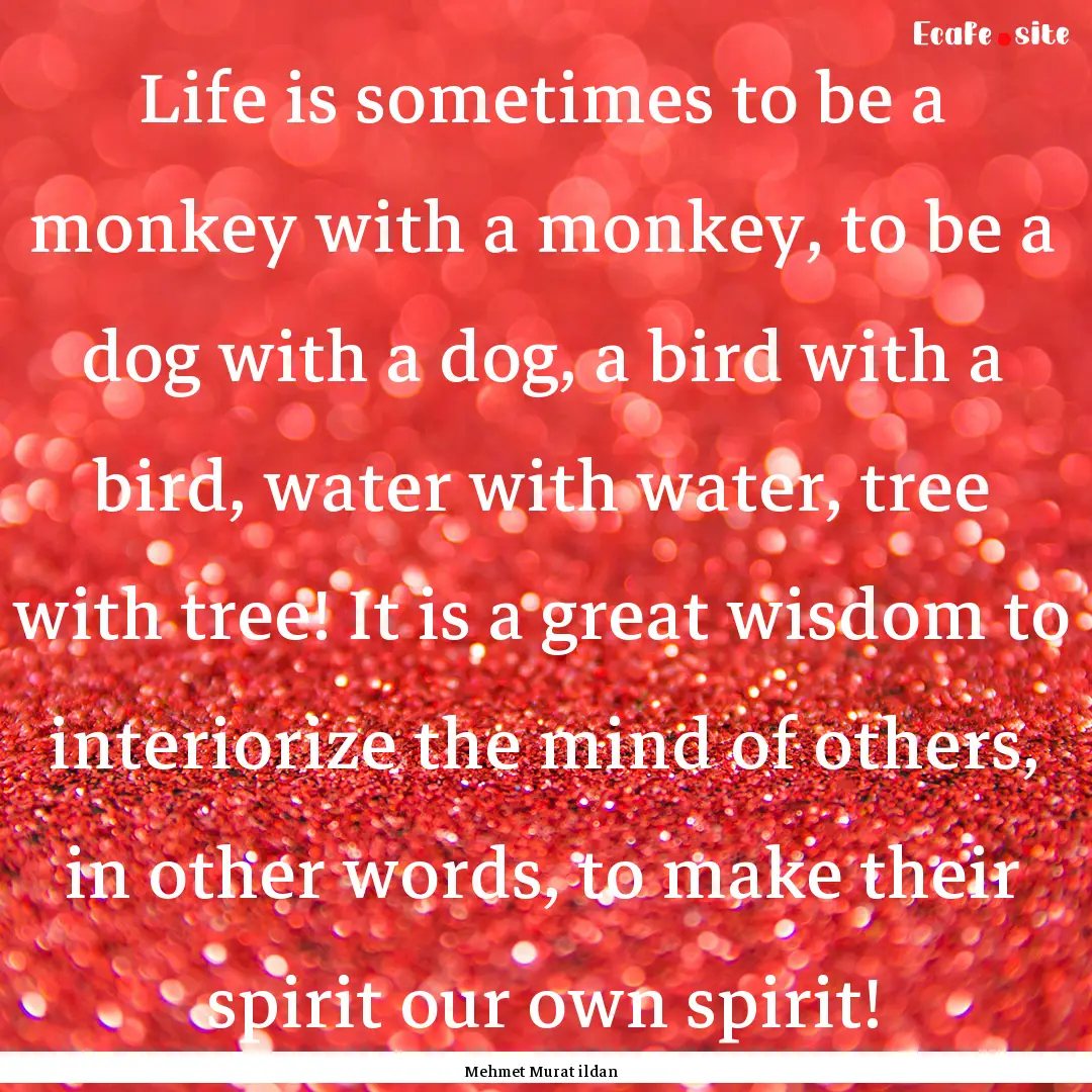 Life is sometimes to be a monkey with a monkey,.... : Quote by Mehmet Murat ildan