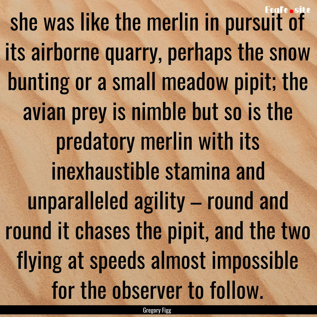 she was like the merlin in pursuit of its.... : Quote by Gregory Figg