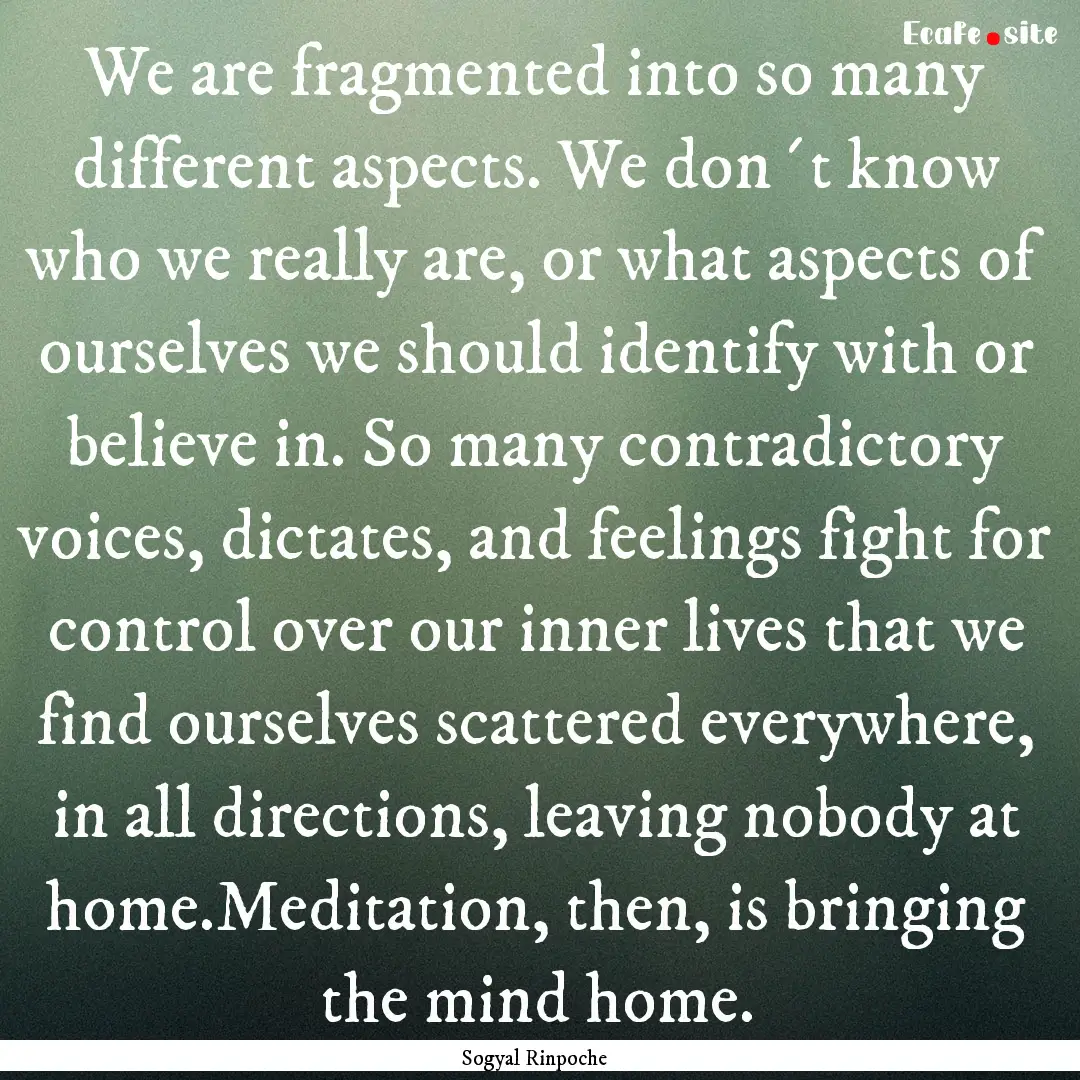 We are fragmented into so many different.... : Quote by Sogyal Rinpoche