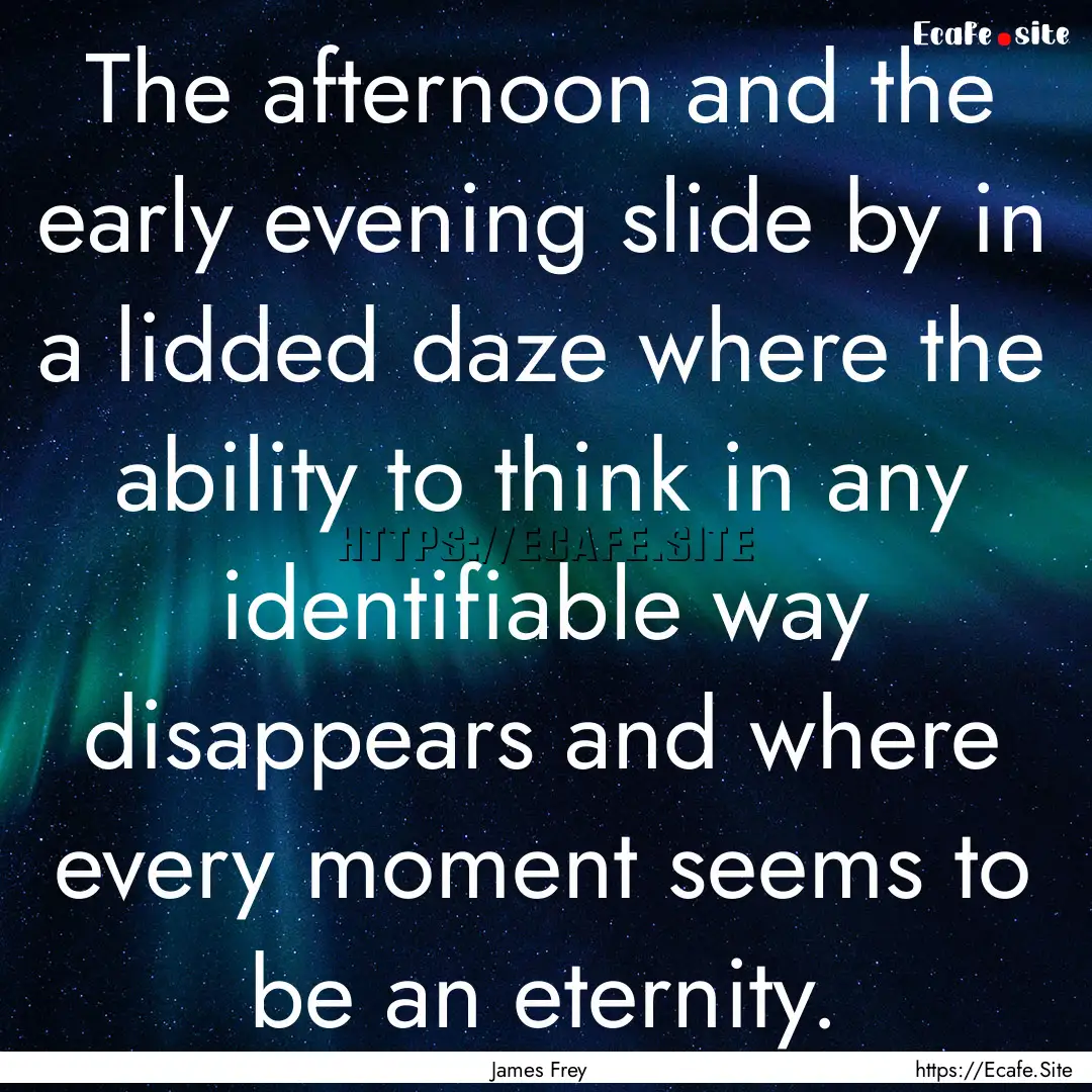 The afternoon and the early evening slide.... : Quote by James Frey