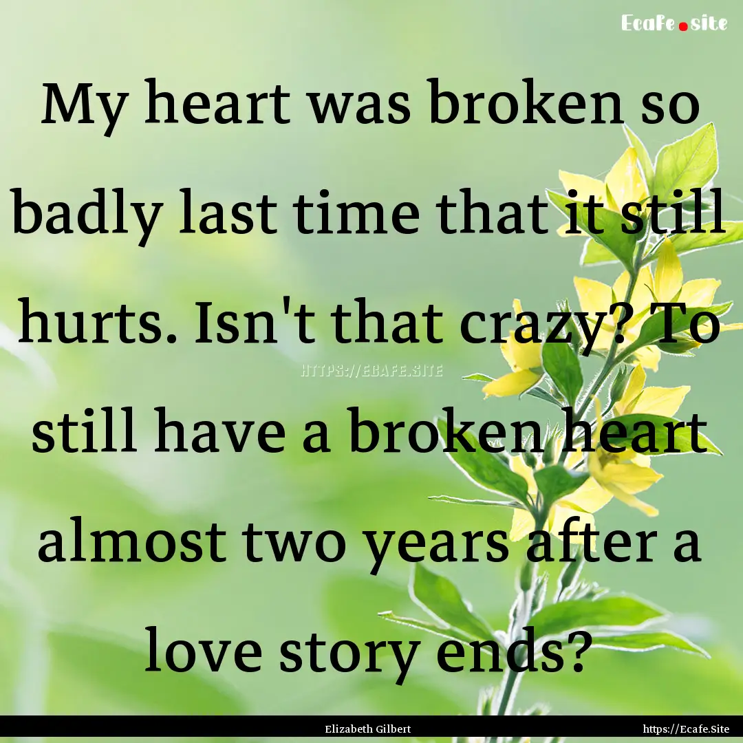 My heart was broken so badly last time that.... : Quote by Elizabeth Gilbert