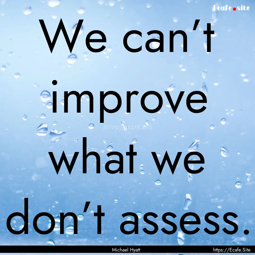 We can’t improve what we don’t assess..... : Quote by Michael Hyatt