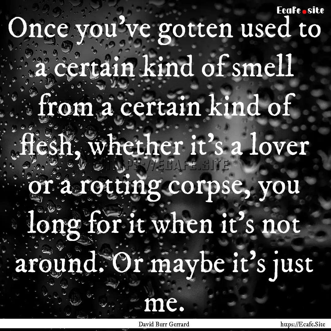 Once you’ve gotten used to a certain kind.... : Quote by David Burr Gerrard