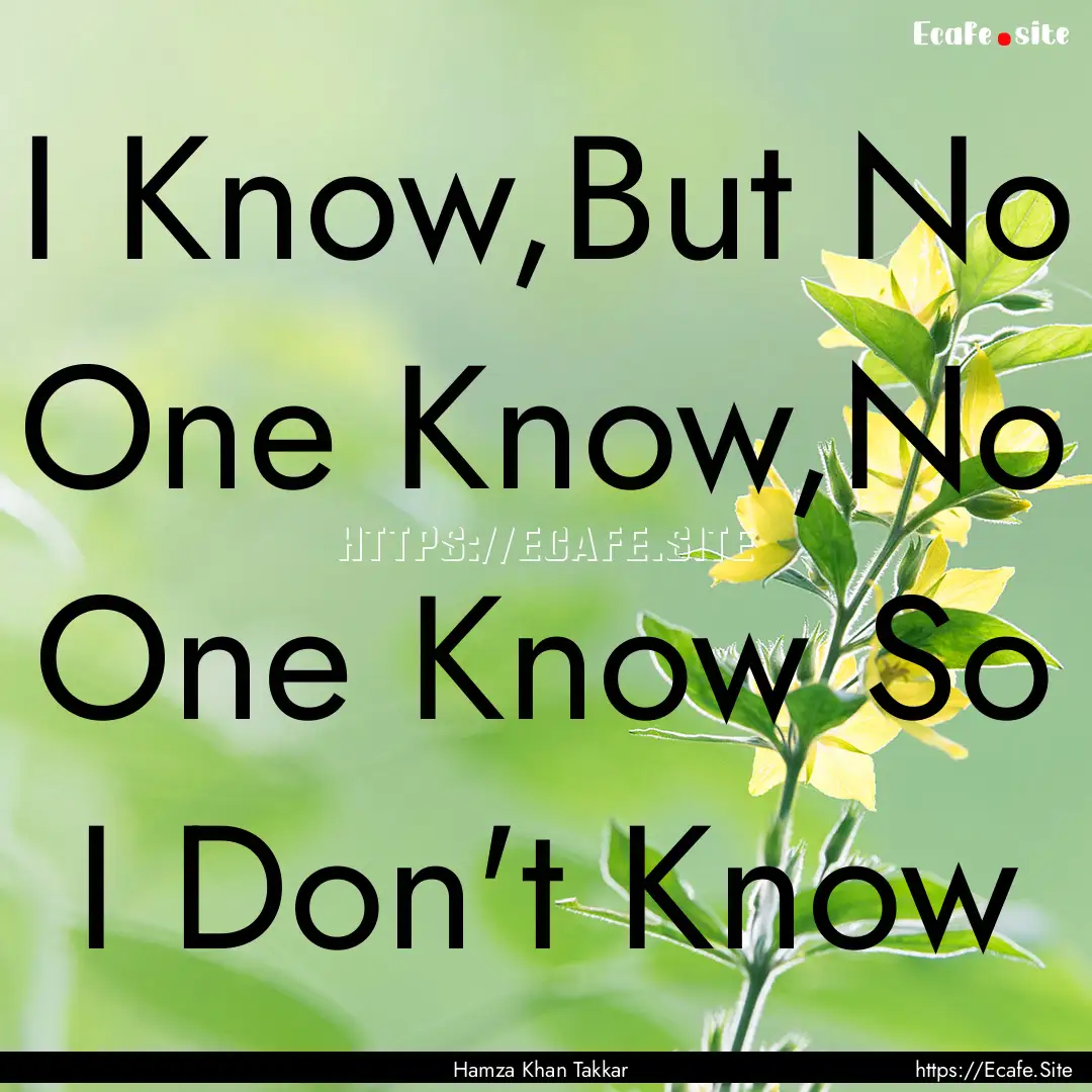 I Know,But No One Know,No One Know So I Don't.... : Quote by Hamza Khan Takkar