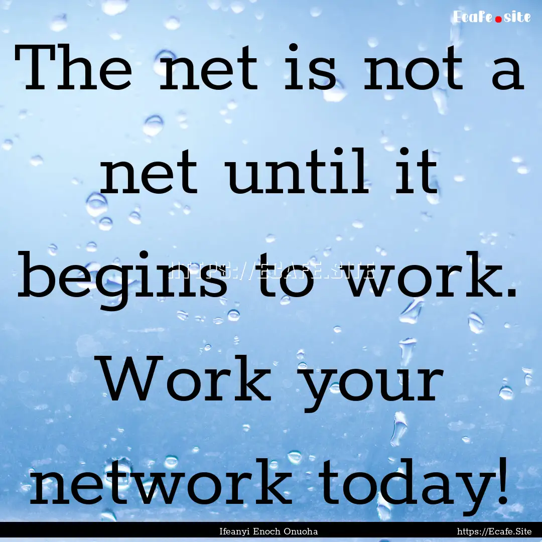 The net is not a net until it begins to work..... : Quote by Ifeanyi Enoch Onuoha