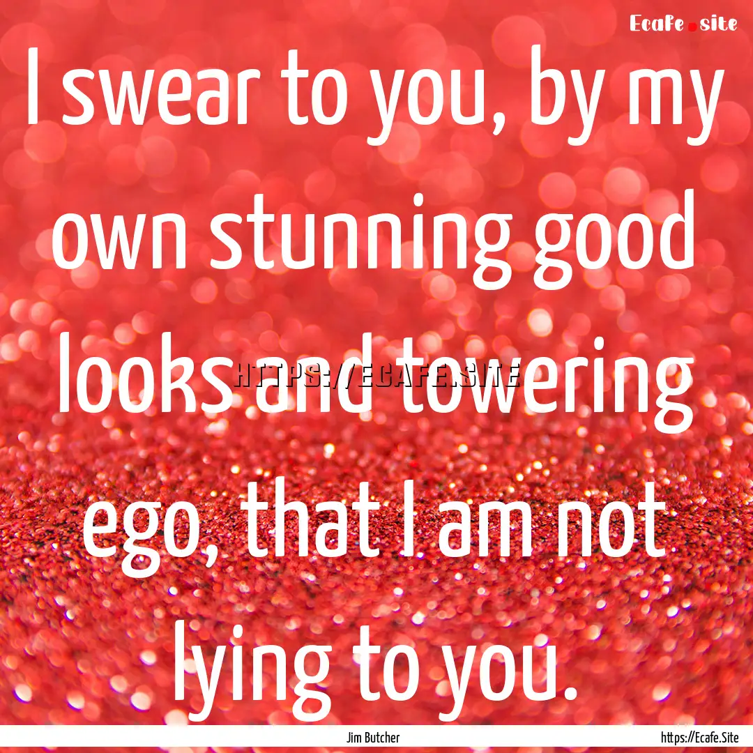 I swear to you, by my own stunning good looks.... : Quote by Jim Butcher