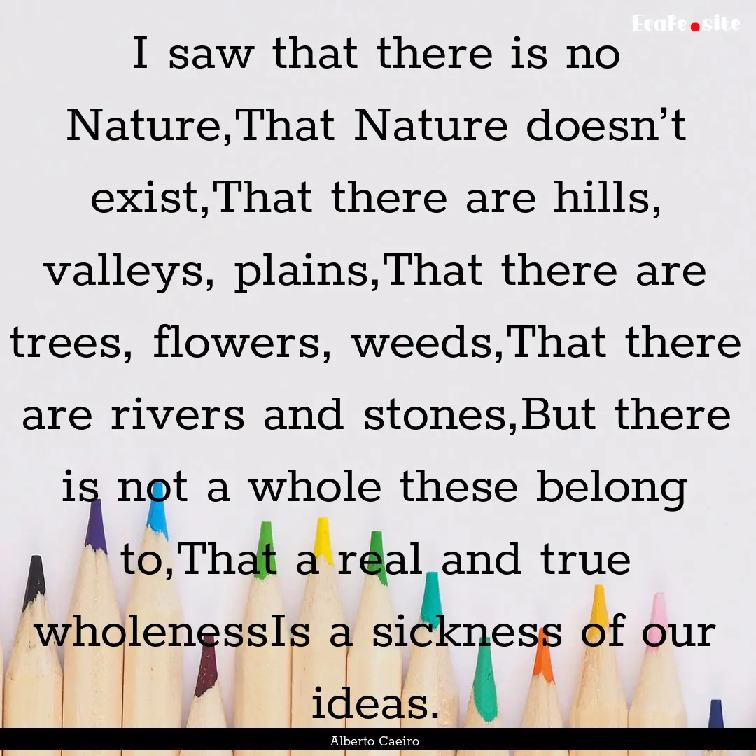 I saw that there is no Nature,That Nature.... : Quote by Alberto Caeiro