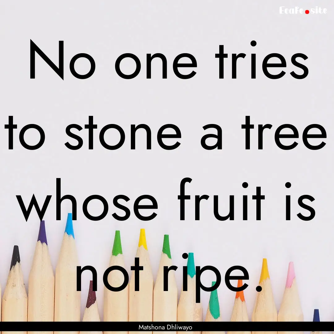 No one tries to stone a tree whose fruit.... : Quote by Matshona Dhliwayo