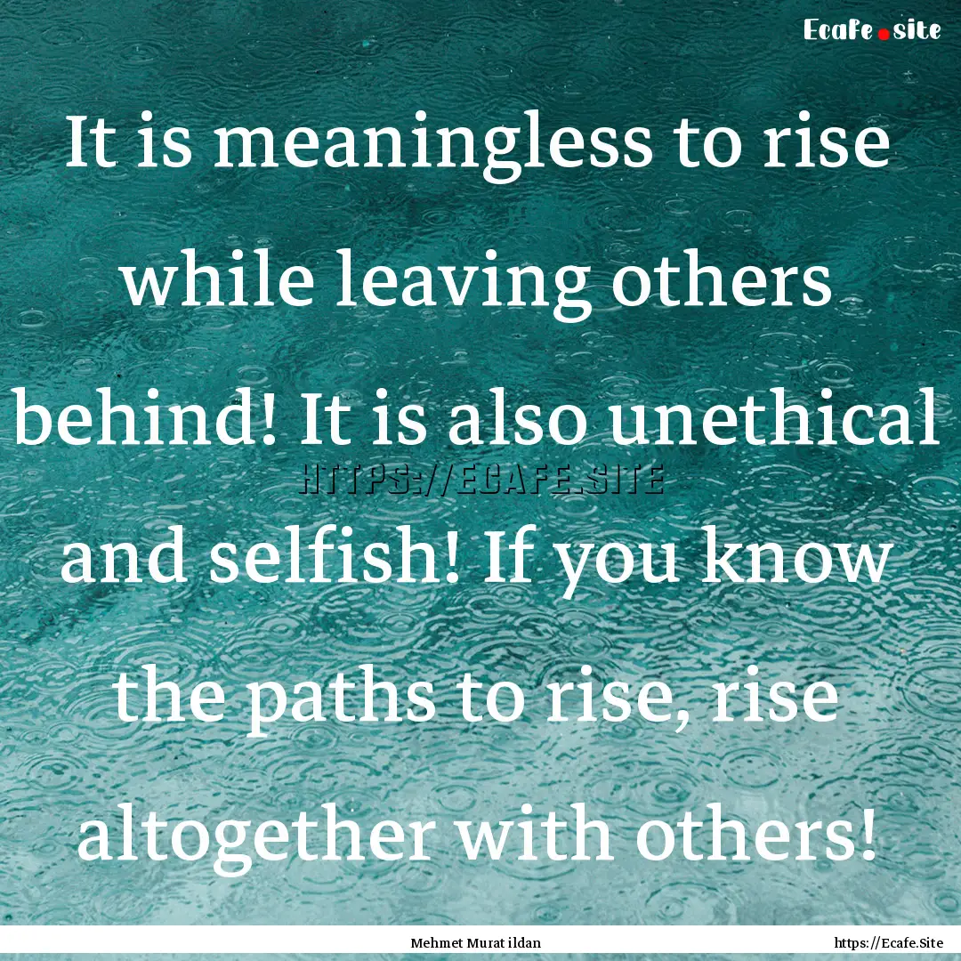 It is meaningless to rise while leaving others.... : Quote by Mehmet Murat ildan