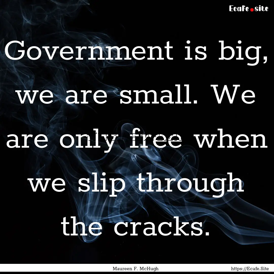 Government is big, we are small. We are only.... : Quote by Maureen F. McHugh