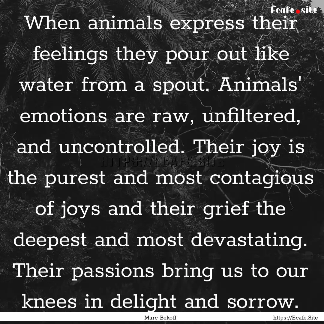 When animals express their feelings they.... : Quote by Marc Bekoff