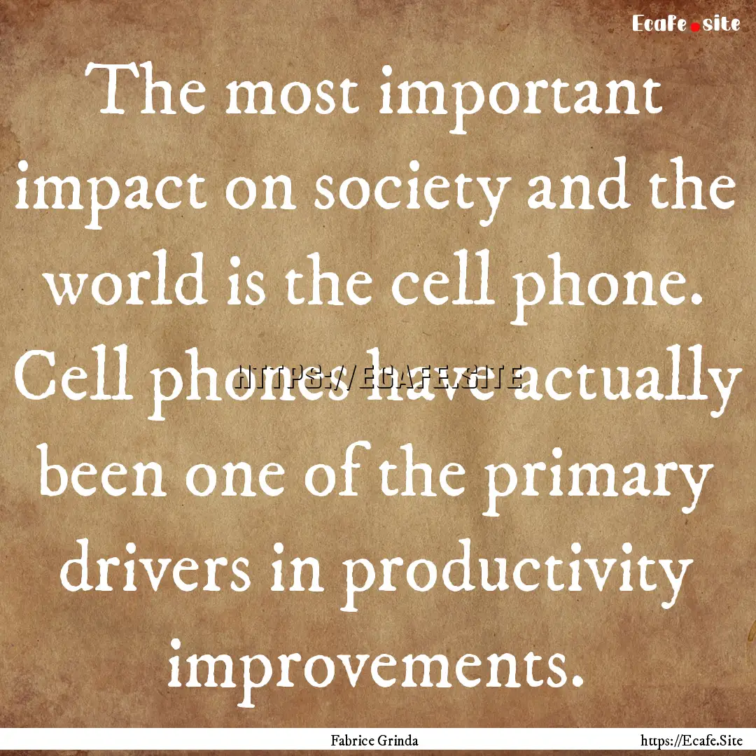 The most important impact on society and.... : Quote by Fabrice Grinda