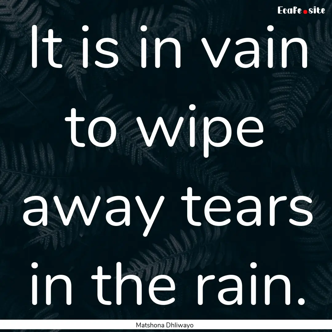 It is in vain to wipe away tears in the rain..... : Quote by Matshona Dhliwayo