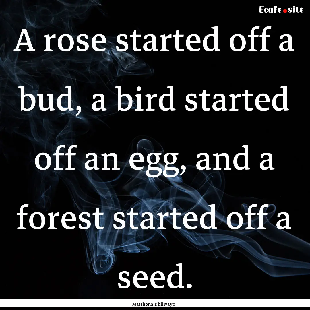 A rose started off a bud, a bird started.... : Quote by Matshona Dhliwayo