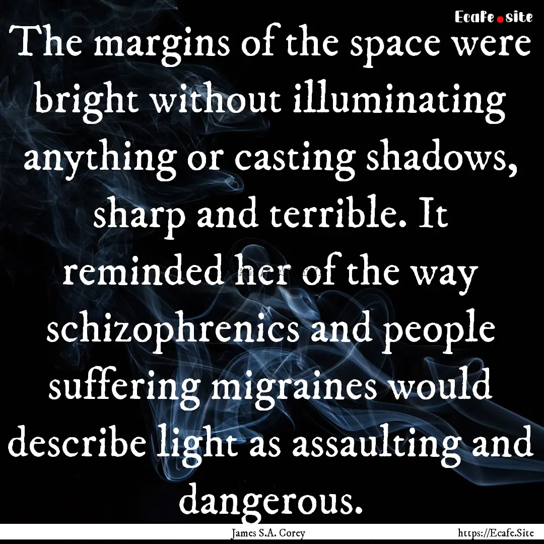 The margins of the space were bright without.... : Quote by James S.A. Corey