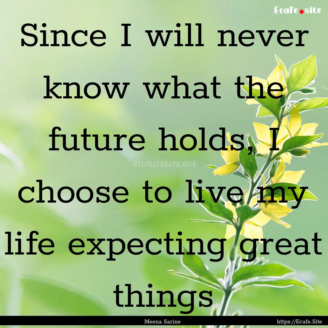 Since I will never know what the future holds,.... : Quote by Meena Sarine