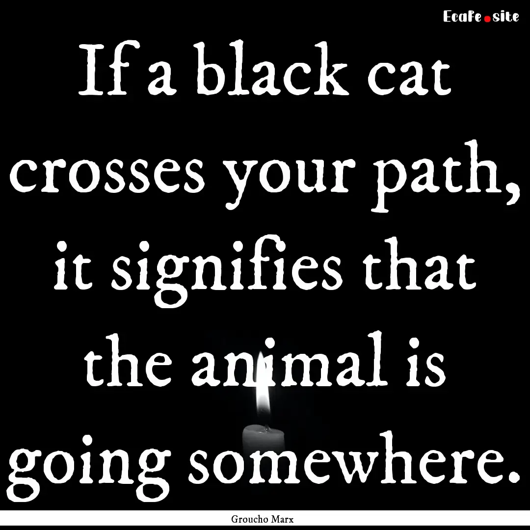 If a black cat crosses your path, it signifies.... : Quote by Groucho Marx