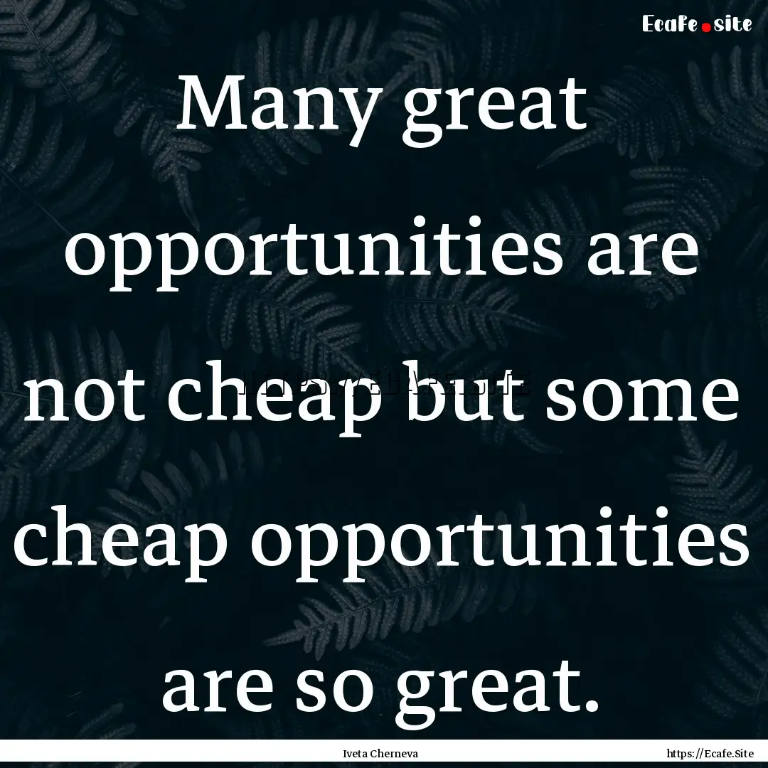 Many great opportunities are not cheap but.... : Quote by Iveta Cherneva