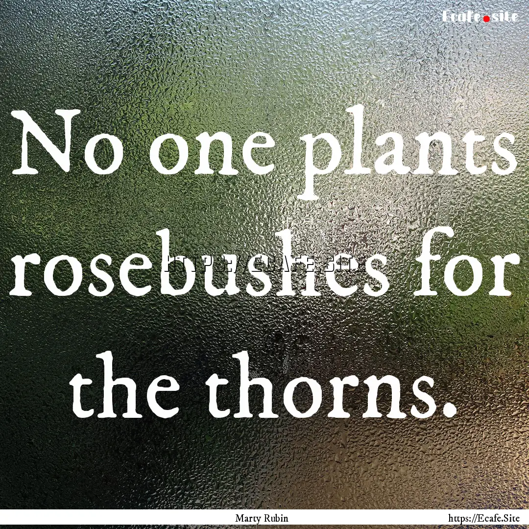 No one plants rosebushes for the thorns. : Quote by Marty Rubin