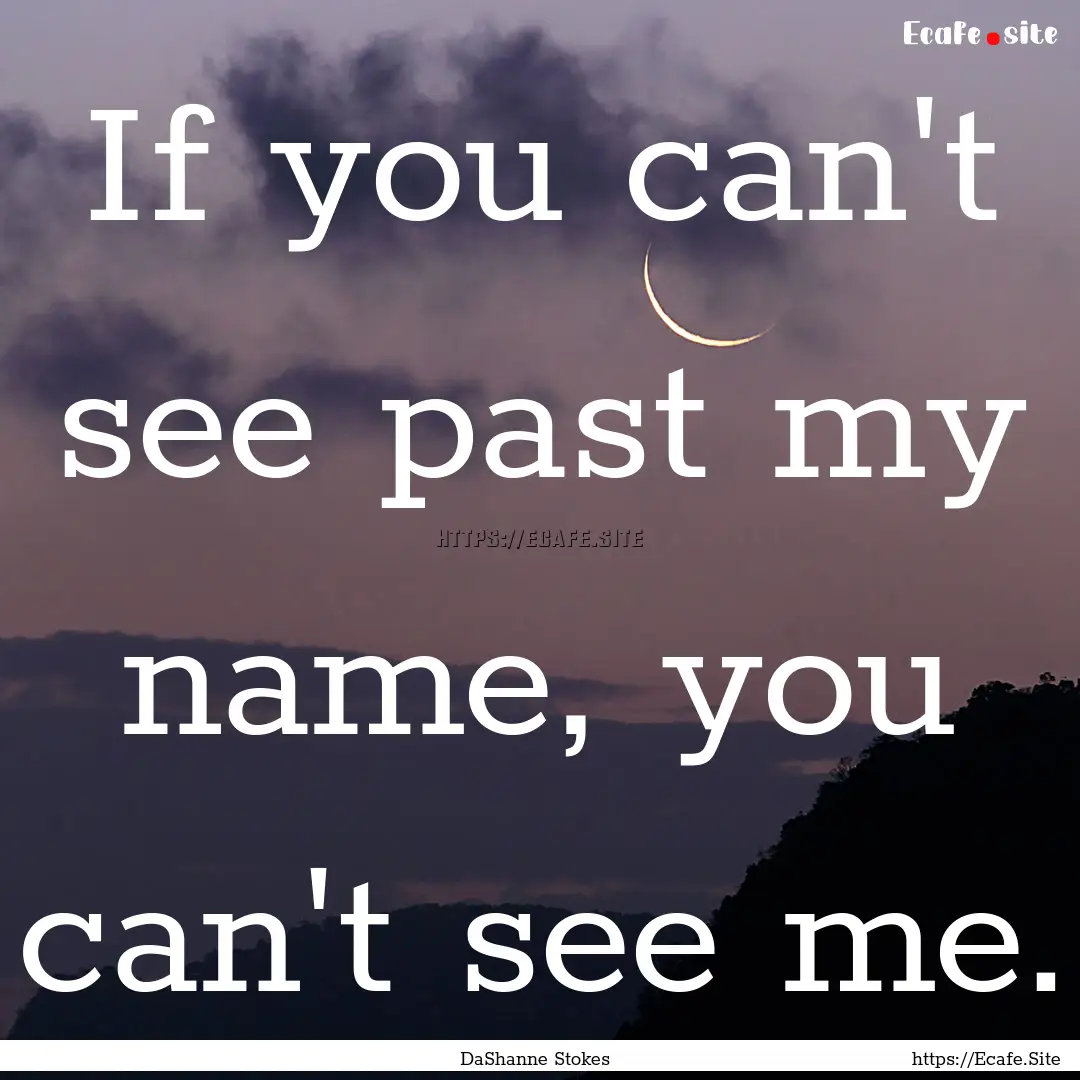 If you can't see past my name, you can't.... : Quote by DaShanne Stokes