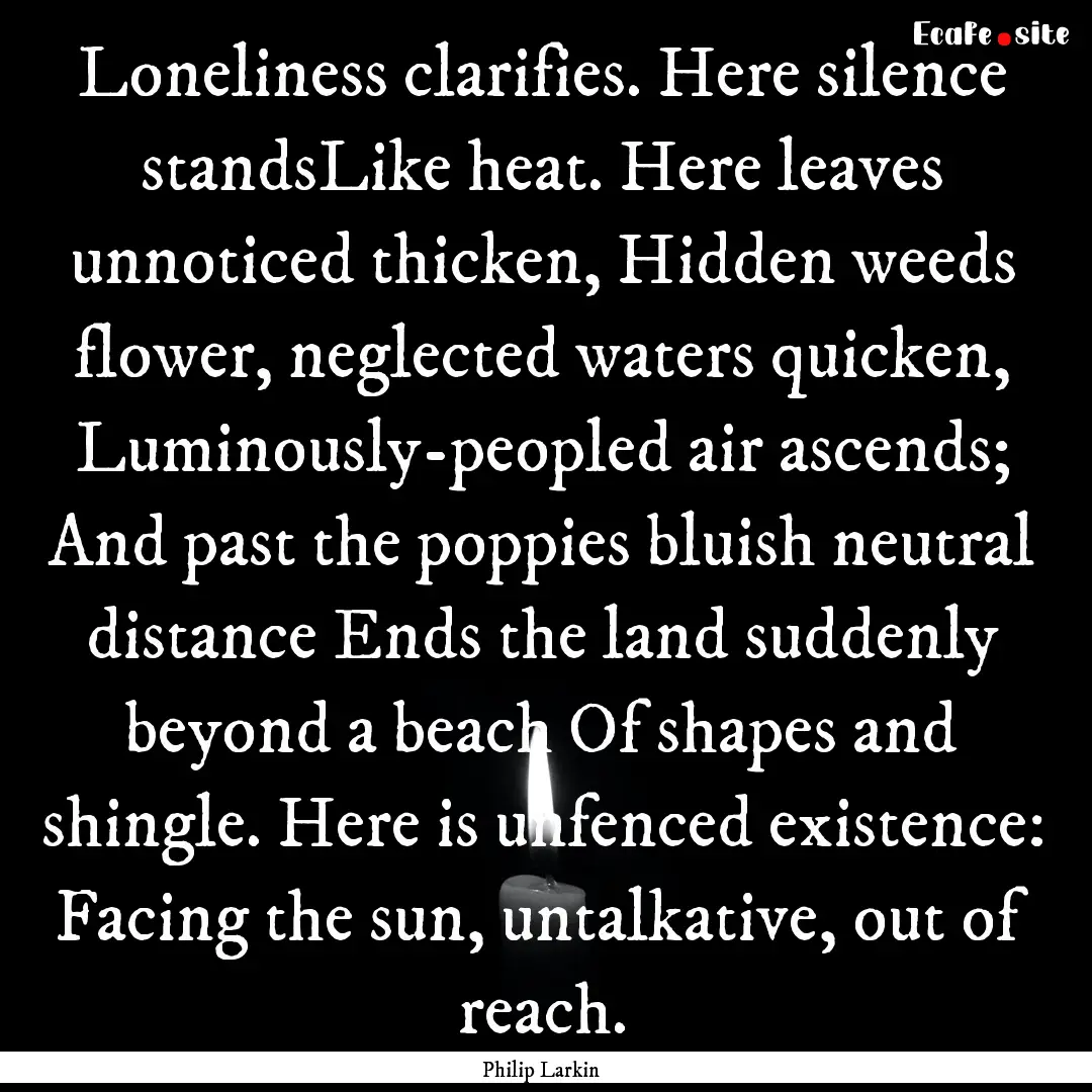 Loneliness clarifies. Here silence standsLike.... : Quote by Philip Larkin