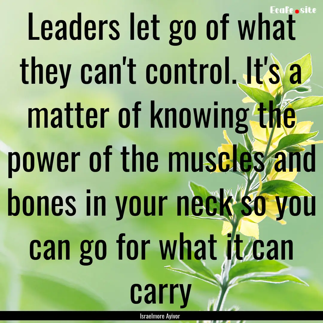 Leaders let go of what they can't control..... : Quote by Israelmore Ayivor