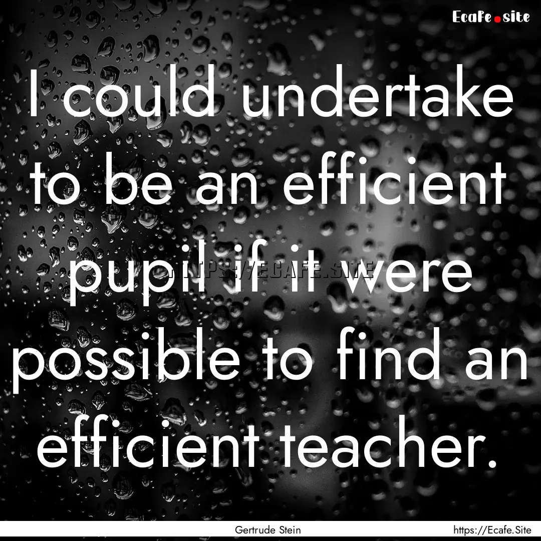 I could undertake to be an efficient pupil.... : Quote by Gertrude Stein